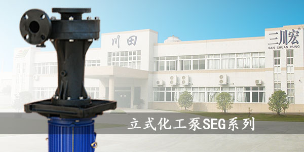 三川宏SEG立式化工泵川田大門