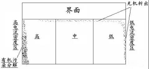 赫爾槽試驗2